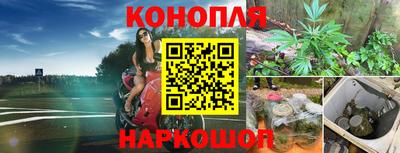 дживик Новодвинск