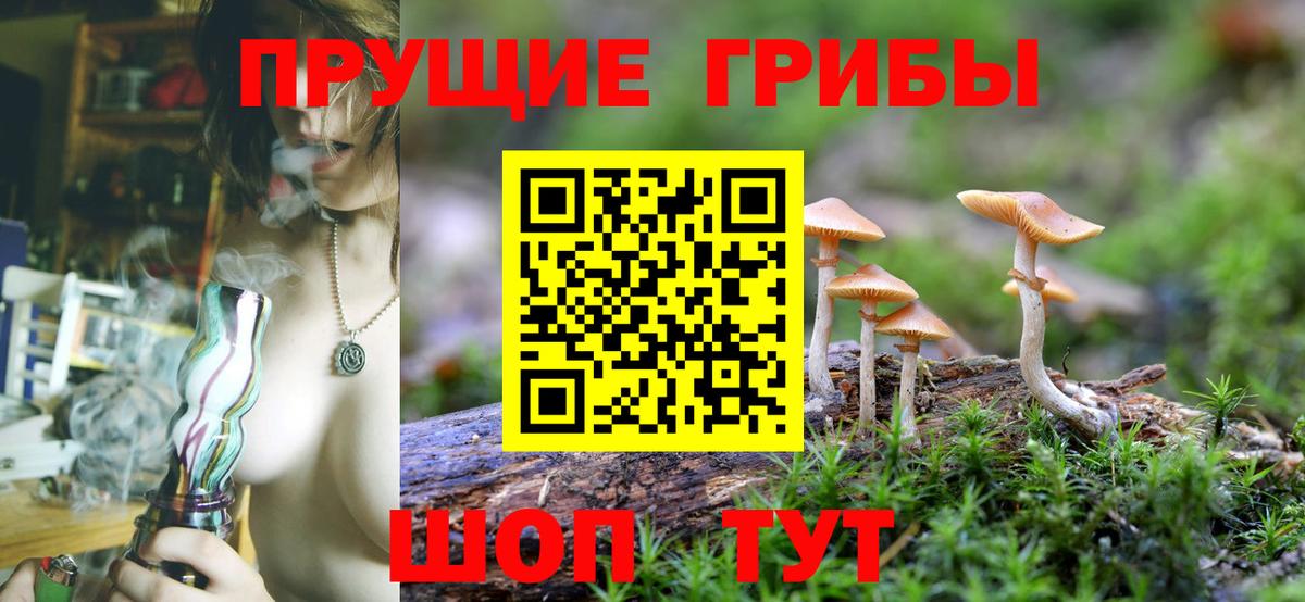 Галлюциногенные грибы мухоморы  Вход с VPN  Псилоцибиновые грибы MAGIC MUSHROOMS  Солнечногорск 